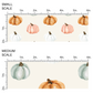 Cream colored image guide with orange and white pumpkins
